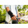 bsn Actimove® Manus Forte