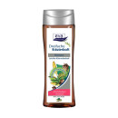 Abverkauf Eva Natura Shampoo mit Birke