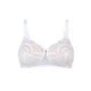 Abverkauf Karolina Schalen-BH - white/light sand - 85B