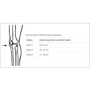 Bort Patella-Sehnenband - HMNR  05.04.01.1005