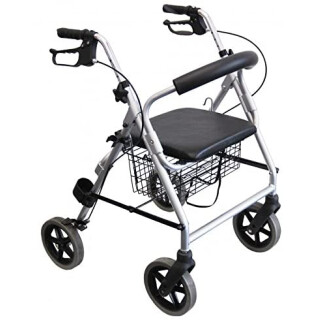 Trendmobil Leichtgewichtrollator LR 53  ( HMV Nr.10.50.04.1146 )