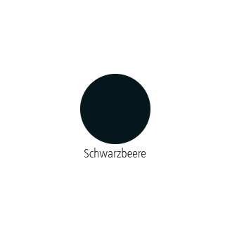 schwarzbeere