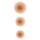 Almond